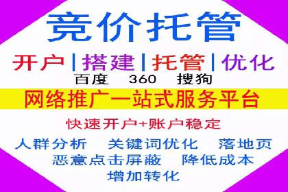 某电商平台的SEM推广策略分析